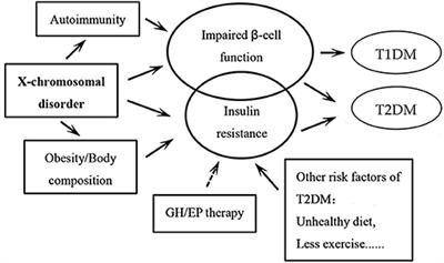 Glucose Metabolism in Turner Syndrome